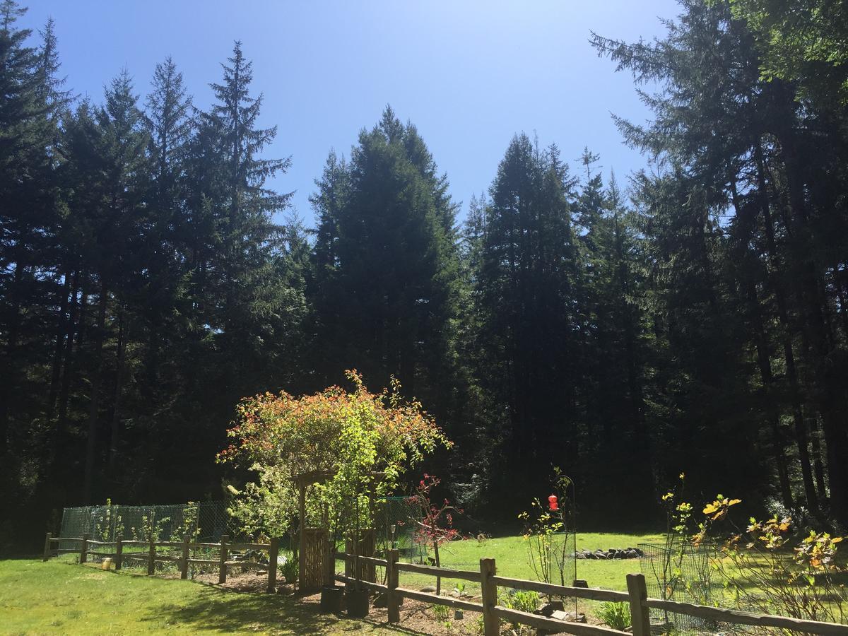 Redwood Forest Crescent City Kültér fotó